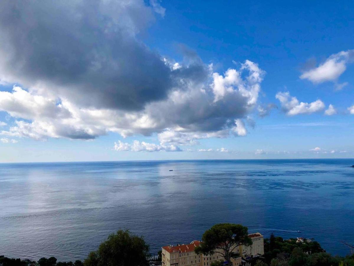 Viangella - Dramatic Sea View! Top Floor 2Km To Monaco 카프다일 외부 사진