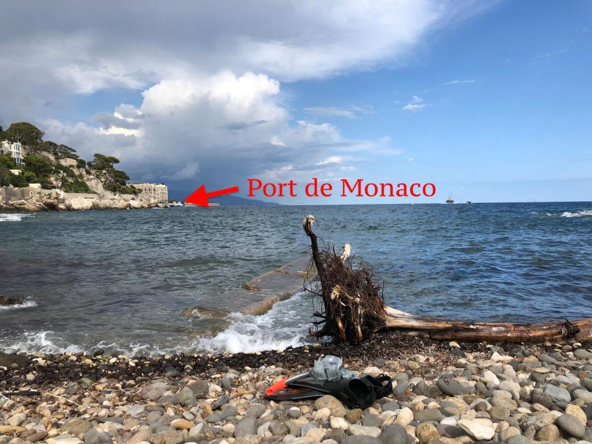 Viangella - Dramatic Sea View! Top Floor 2Km To Monaco 카프다일 외부 사진